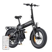ENGWE PRO 3.0 BOOST 250W 20" Electric Bike (Black)