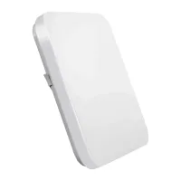 Lepro 150006 Ceiling Light, 24W, 2400 lm