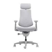 LiberNovo Omni 45 cm Ergonomic Chair (Gray)