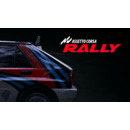 Igra PC Assetto Corsa Rally (PC Steam) (ROW)