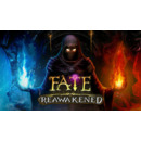 Igra PC Fate: Reawakened
