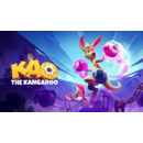 Igra Nintendo Switch Kao the Kangaroo  (EU)