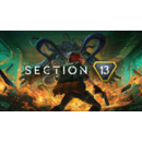 Igra PC Section 13