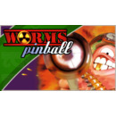 Igra PC Worms Pinball (PC Steam) (Global)