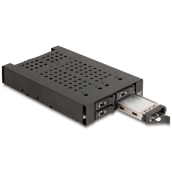delock-35-removable-frame-for-4-x-m2-nvme-ssd-43027-47111-w.webp