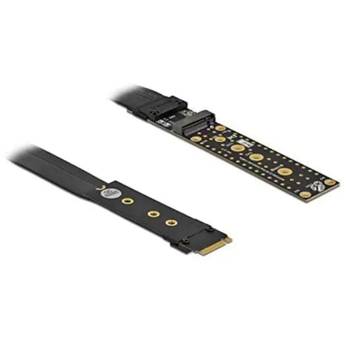 DeLOCK riser card M.2 Key M extension - with 20 cm cable