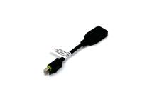 Adapter Mini DisplayPort v DisplayPort, z zaklepom, 0.1m, PNY - QSP-MINIDP/DPV3