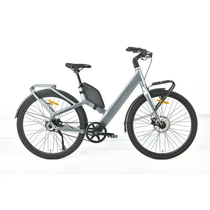 MS ENERGY eBike Veles Plus special gold