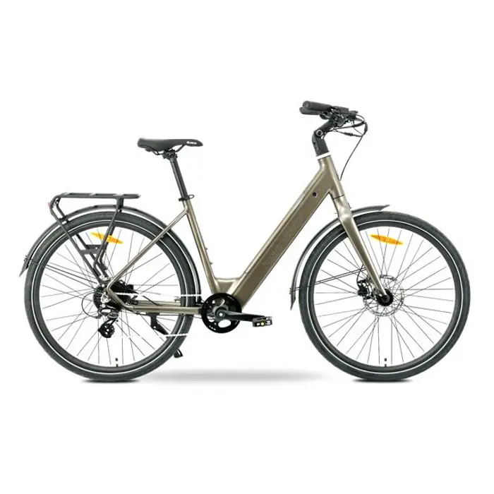 MS ENERGY eBike Zorya bronze