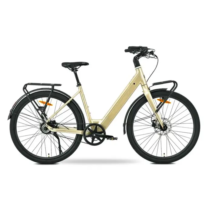 MS ENERGY eBike Zorya Plus Silver Gold