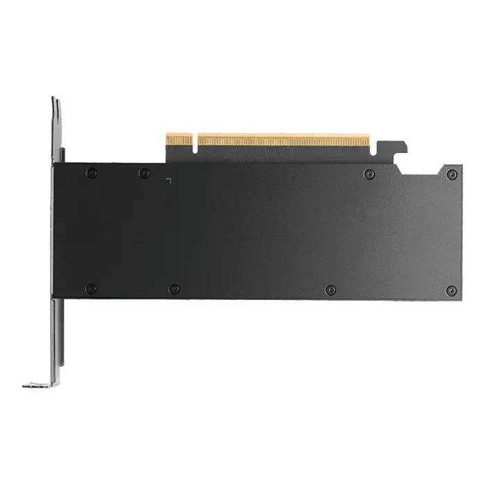 pny-rtx-pro-2000-blackwell-nvidia-16-gb-gddr7-14968-wlononwcroxsp.webp