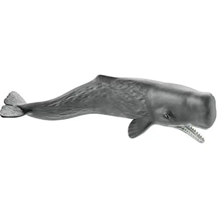 schleich-sperm-whale-14764-45516-14764-w.webp