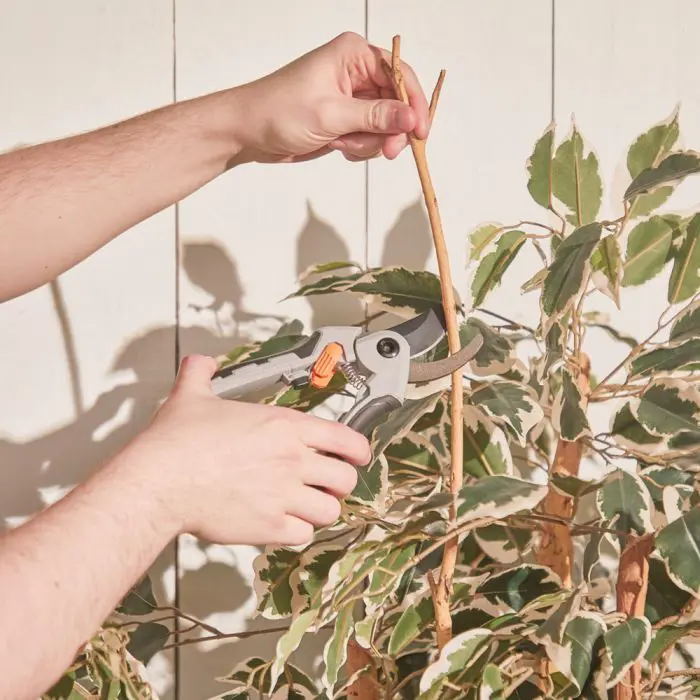 vonhaus-pruning-set-58118-e0014497.webp