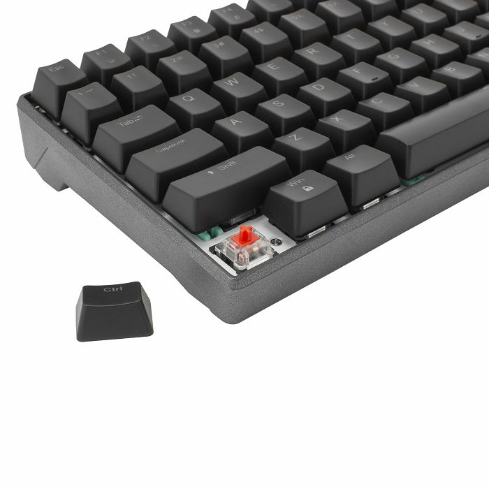 WHITE SHARK Premium RGB gaming mehanička tipkovnica ESL-K2 KATANA