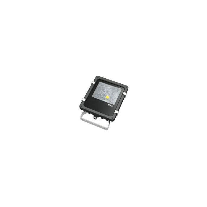 EcoVision LED reflektor PRO 10W, 750lm, 6000K, IP65