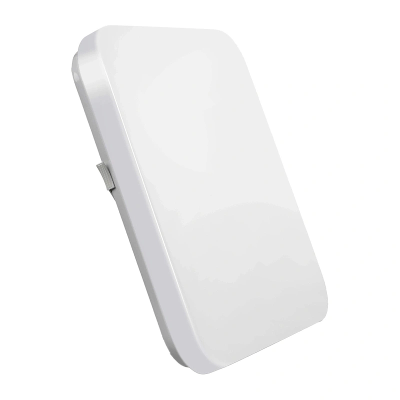 Lepro 150006 Ceiling Light, 24W, 2400 lm