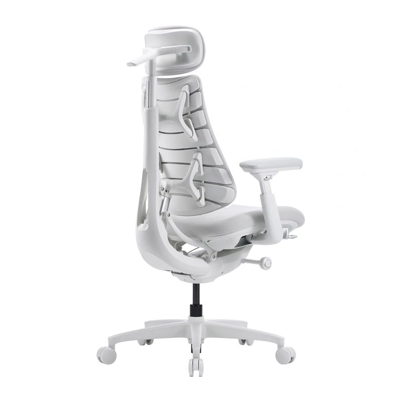 LiberNovo Omni GEN 48 cm Ergonomic Chair (White)