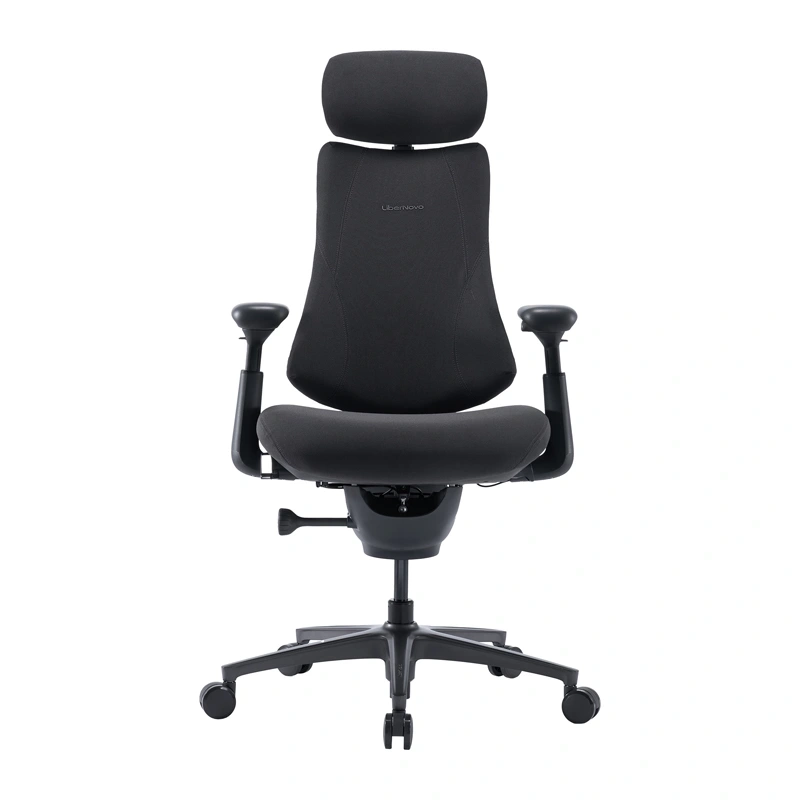 LiberNovo Omni Pro 45 cm Ergonomic Chair (Graphite)