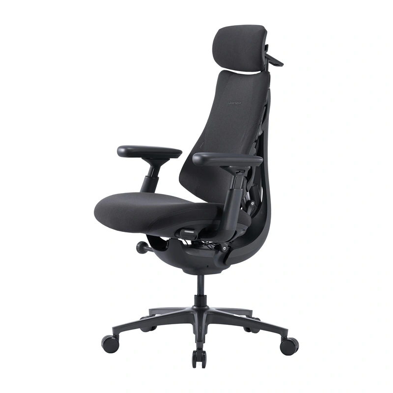 LiberNovo Omni Pro 45 cm Ergonomic Chair (Graphite)