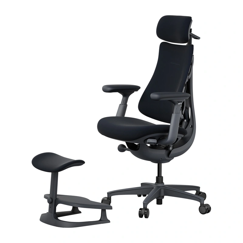LiberNovo Omni 45 cm Ergonomic Chair (Black)