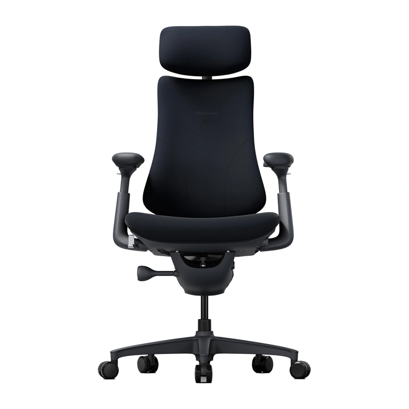 LiberNovo Omni 45 cm Ergonomic Chair (Black)