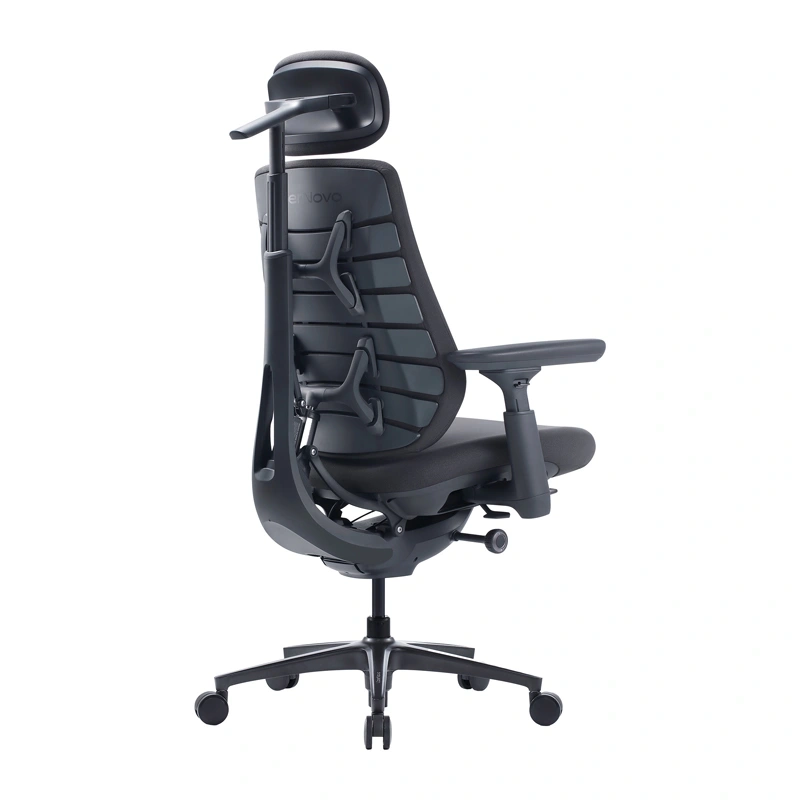 Dynamic Ergonomic Chair LiberNovo Maxis