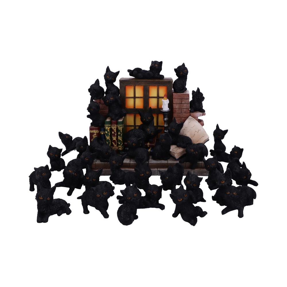 NEMESIS NOW THE WITCHES LITTER ASSORTED