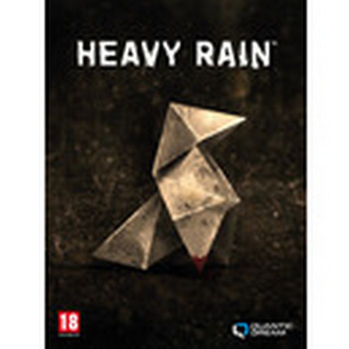 Heavy Rain Steam