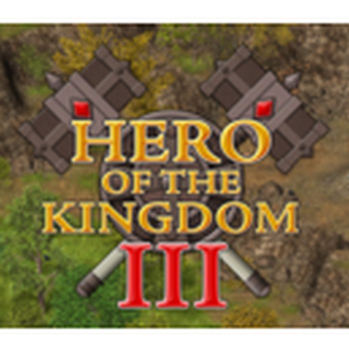 Hero of the Kingdom III Steam key