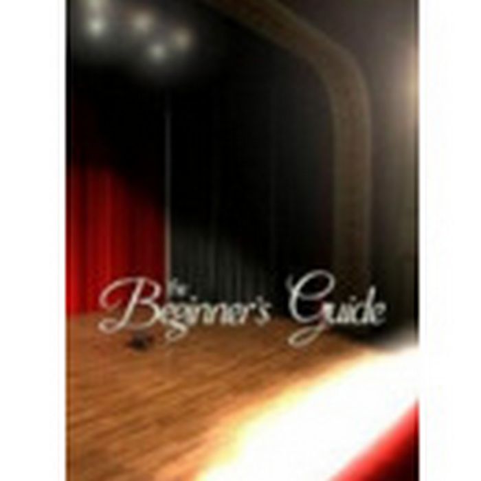 The Beginner's Guide
