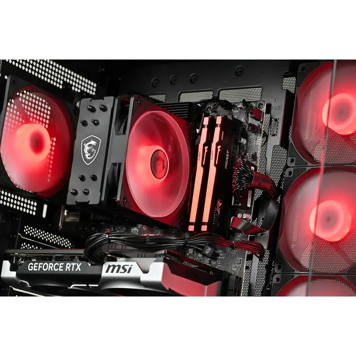 Actina 5901443452126 PC AMD Ryzen™ 5 5600 16 GB DDR4-SDRAM 500 GB SSD NVIDIA GeForce RTX 5060 Windows 11 Home Midi Tower Black
