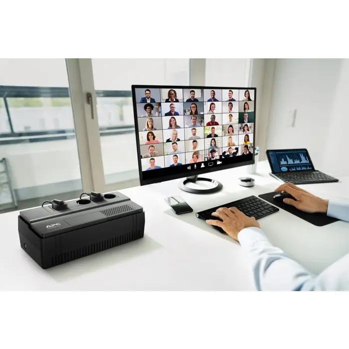 APC Easy UPS BV BV500I-GR - UPS - 300