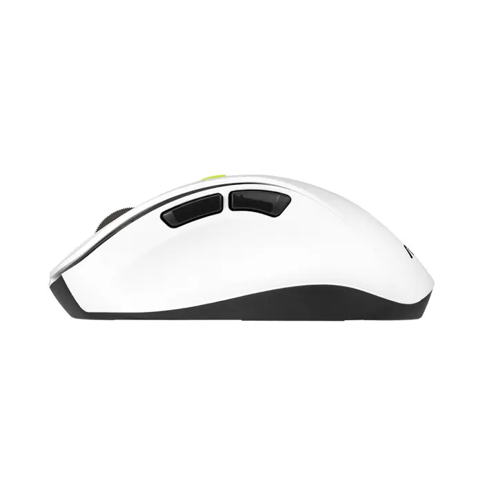 ASUS MD105 /VT-GN mouse Universal Right-hand RF Wireless + Bluetooth 2400 DPI