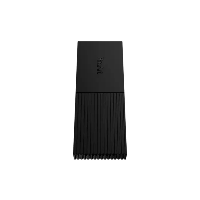 Asus ProArt PA40SU SSD Enclosure (black)