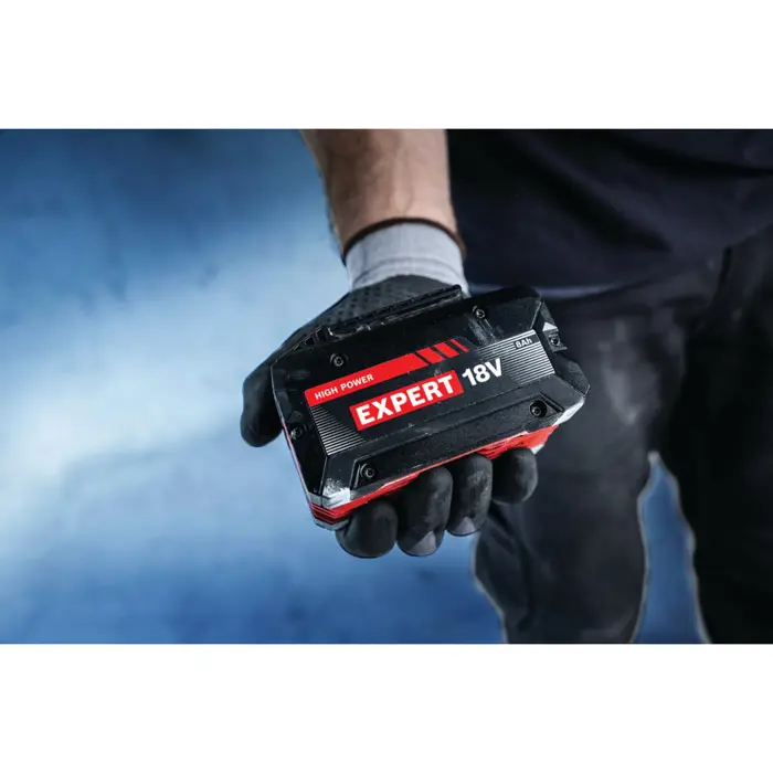 Bosch Powertools EXPERT starter set 18V, 2x EXBA 18V-80 + charger EXAL18V-160 (black, 2x Li-ion battery 8Ah, AMPShare Alliance)