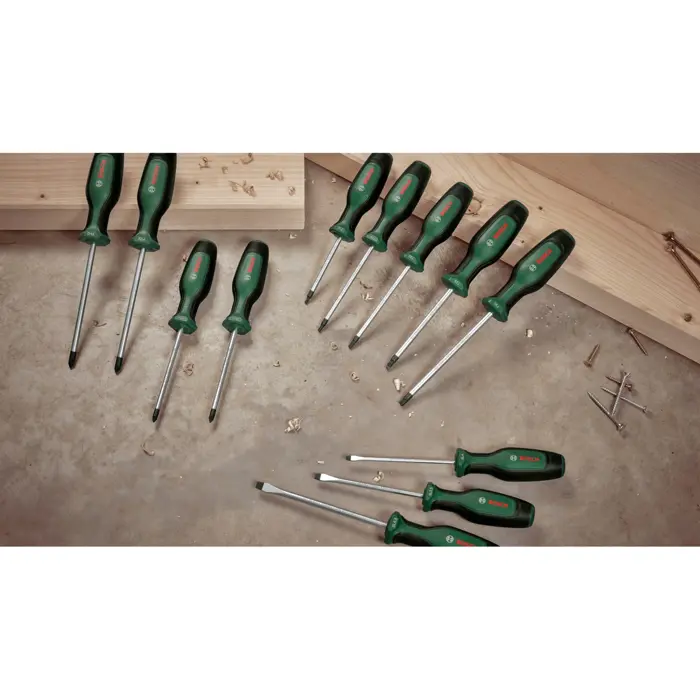 Bosch Powertools screwdriver + magnetizer set, 6 pieces (green/black, + magnetizer, slotted and Phillips PH/TX)