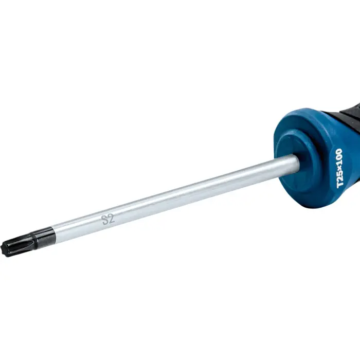 Bosch Powertools screwdriver TX 25 x 100 Professional (blue/black)
