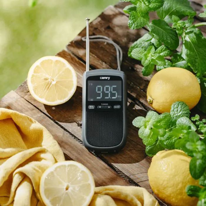 Camry Portable Mini Radio