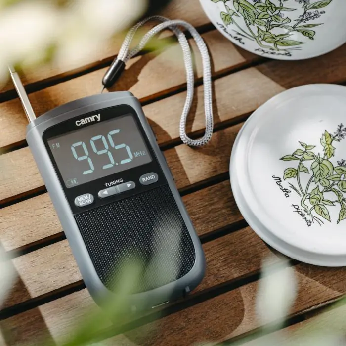 Camry Portable Mini Radio