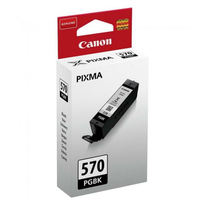 Canon tinta PGI-570BK