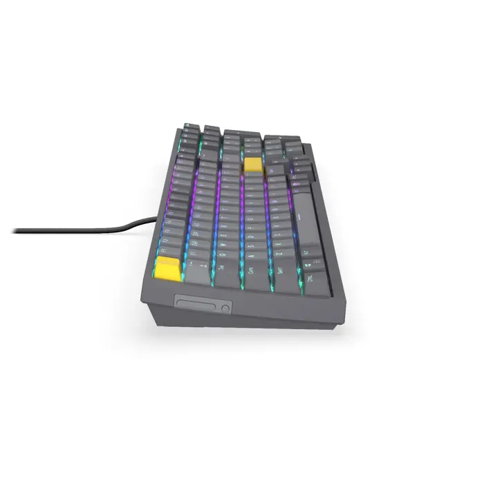 Celeris 1800 (gray, US layout, ENDORFY Yellow by Gateron)