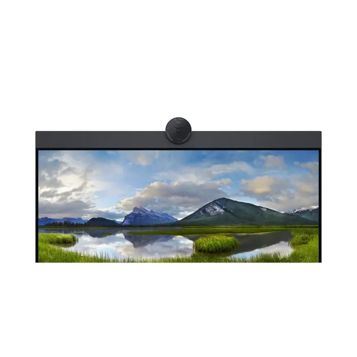 Dell LCD P2424HEB 24" IPS FHD/1920x108