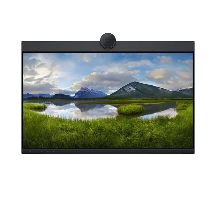 Dell LCD P2424HEB 24" IPS FHD/1920x108