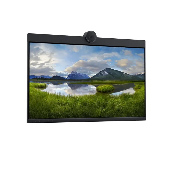 Dell LCD P2424HEB 24" IPS FHD/1920x108