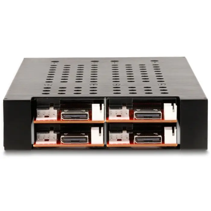 DeLOCK 3.5? Removable frame for 4 x M.2 NVMe SSD