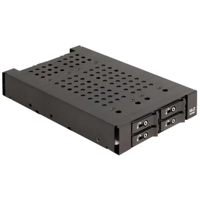 DeLOCK 3.5? Removable frame for 4 x M.2 NVMe SSD