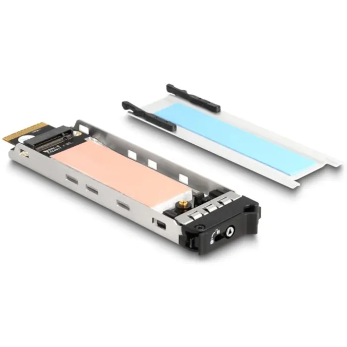DeLOCK DeLock removable frame PCI Express card for 1 x M.2 NMVe SSD, interface card