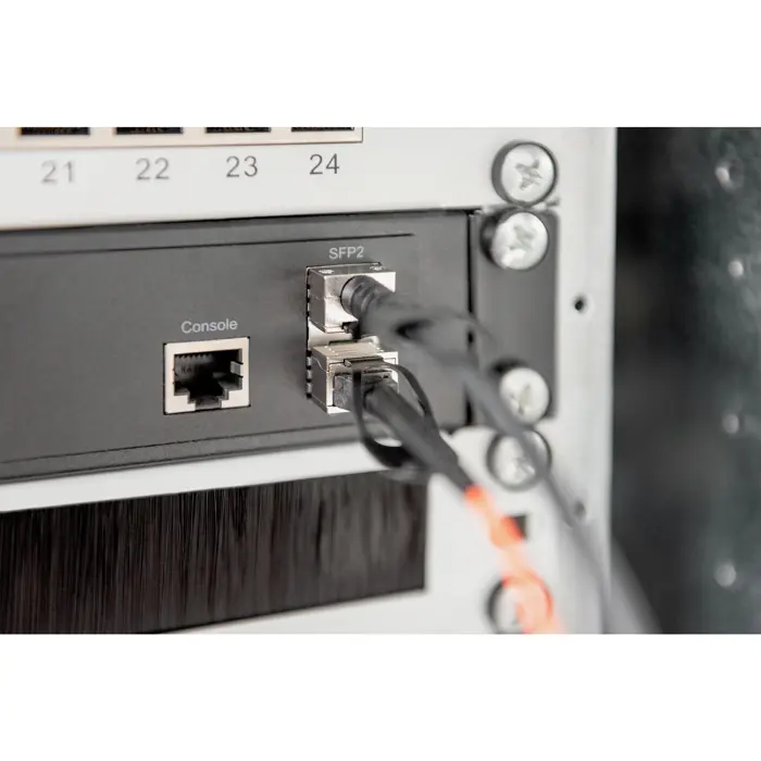 Digitus cable SFP+ 10G DAC (black, 2 meters)