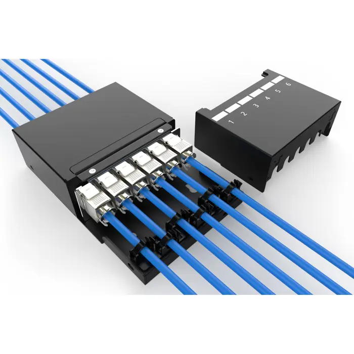 Digitus Consolidation Point Box 6P Keystone with Cable Manager (Black)