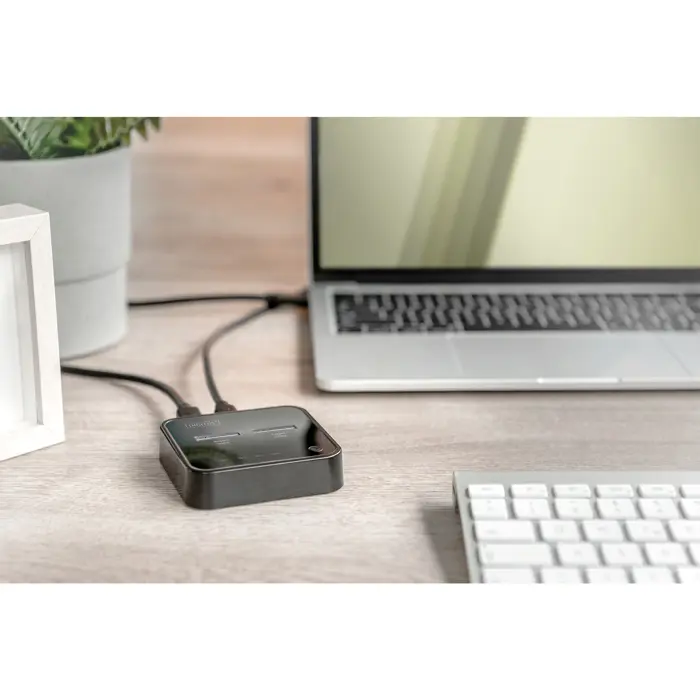 Digitus Dual M.2 NVM SSD Docking Station, docking station (black, USB-C, M2 SSD)